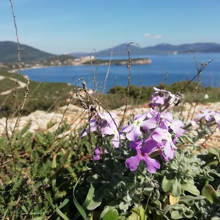 El Matorral Bed and Breakfast Alghero Exteriör bild