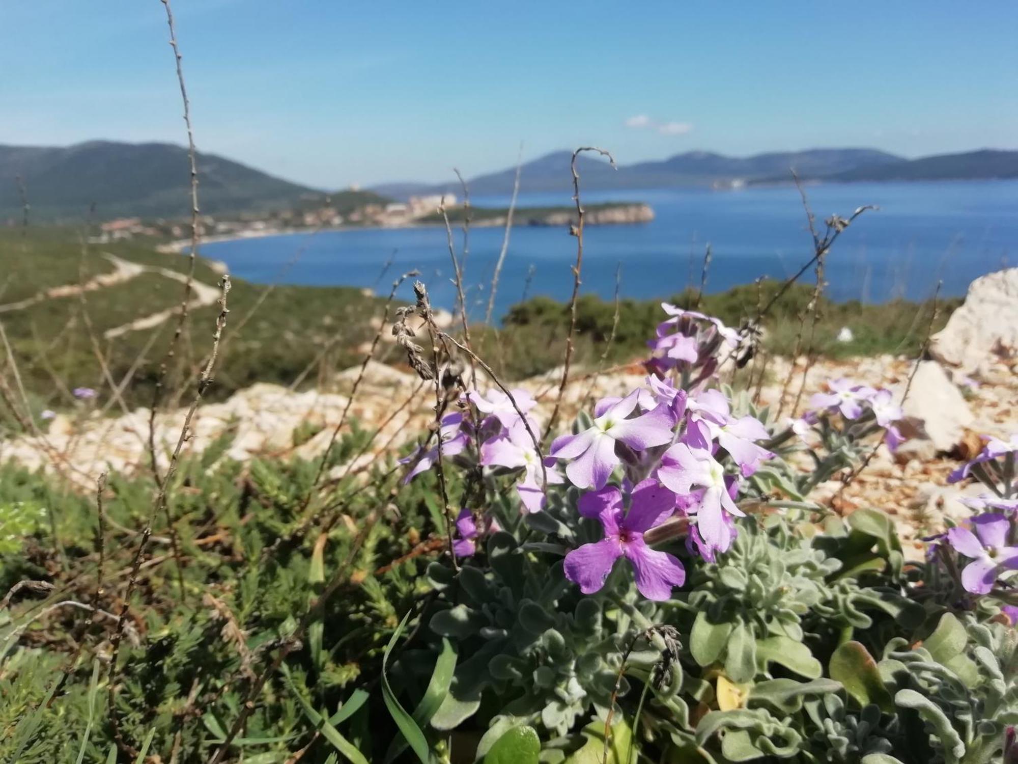 El Matorral Bed and Breakfast Alghero Exteriör bild